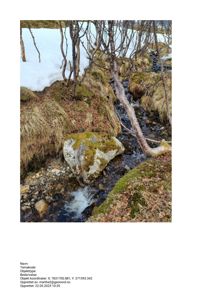 Fotografi av et naturområde med en liten bekke, snø, mosede steiner og trær.