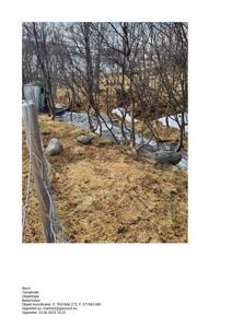 Fotografi av et terreng med trær, en liten bekk, en gate og en liten uthus i bakgrunnen.