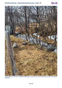 Fotografi av et terreng med en elv, trær og en liten hytte. Bildet er en del av en flomfarevurdering og illustrerer et infopunkt.