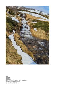 Fotografi av en bekke eller elv med snø i et fjell- eller skogsmiljø.