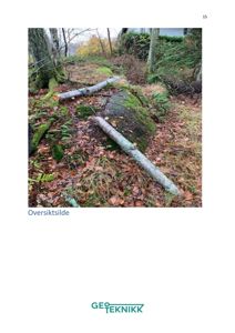 Fotografi (oversiktsbilde) av et terreng med trær, mose og to store steiner eller ruller.