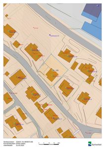 Situasjonsplan som viser tomtens plassering i forhold til nabolag, gater og vassdrag.