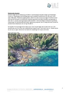 Luftfoto av eksisterende situasjon med fjord, kystlinje, steinmur og skog.