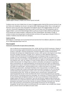 Et luftfoto som viser et område med grønt og rødt, sannsynligvis en byggeplass eller et naturareal under vurdering.