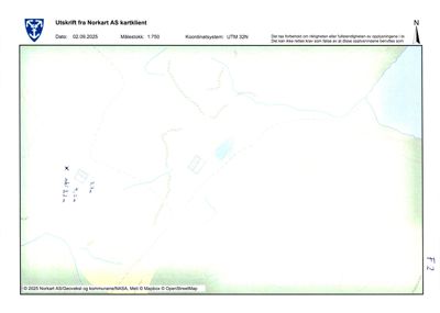 Situasjonsplan (tomtekart) fra Norkart som viser togningsplassering, høydemål og topografi.