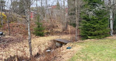 Fotografi av et naturområde med trær, en liten bro eller gangvei, og en bygning i bakgrunnen.