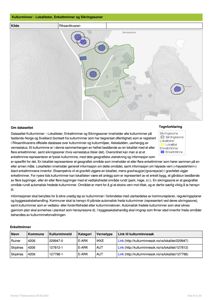 Et digitalt kart over et område med markerte kulturminner (lokalteter, enkeltminner og sikringssoner) fra Riksantikvaren.