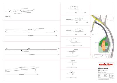 Situasjonsplan som viser tomtens form, bygningers plassering, veier og terrengforhold.