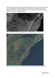 Bildet viser to fotografier (en historisk luftfoto fra 1960 og et ortofoto) av et kystområde med terreng og vegetasjon, inkludert en vei og et markert område.