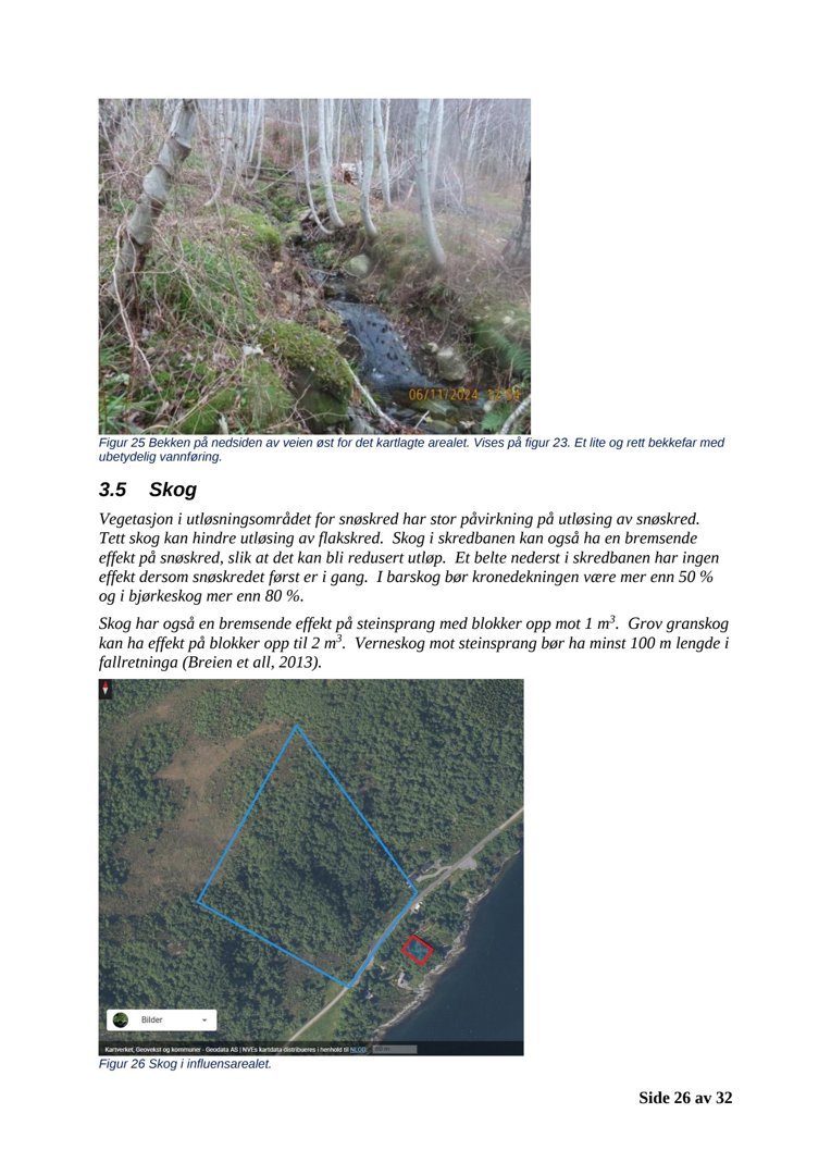 Fotografi av en bekke i skog, som er en del av en rapport om skredfare.