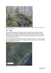 Fotografi av en bekke i skog, som er en del av en rapport om skredfare.