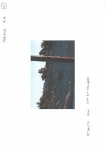 Fotografi av utsikt fra Våldøy Stua, med skog og fjell i bakgrunnen.