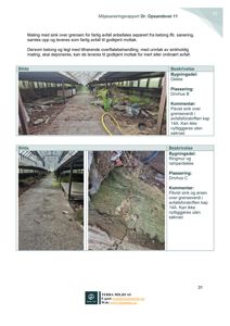 Fotografier av maling og sink på tak og vegger i drivhus.