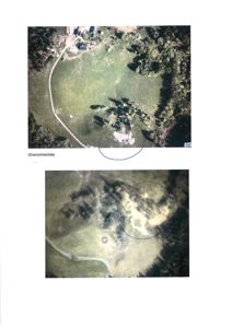 Bildet viser et flyfoto eller et oversiktskart over en tomt med skog og en vei. Det er merket som '(Oversiktsbilde)' og viser bygningens plassering i forhold til omgivelsene.