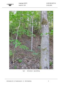 Fotografi av et skogområde med trær og skråning, merket som 'Fig 3 Sett sørover – opp skråning'.