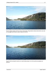 Fotografier av en sjøside med fjell i bakgrunnen. Bildene illustrerer dagens situasjon og en mulig framtidig situasjon med vegetasjon.