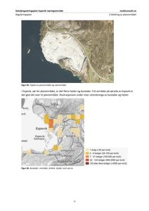 Bildet viser en kartoversikt over et planområde i Espevik med fargekodet bebyggelsestetthet og et flyfoto av området.