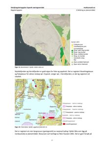 Bildet viser to kart: øverst et bonitetskart (Figur 13) som viser jordbruksareal, og nederst et fiskerikart (Figur 14) som viser fiskeplasser og rekefelt i Espevik-nærområdet.