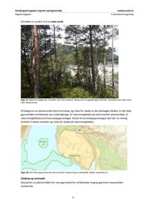 Fotografi av et naturområde med skog og vann, inkludert en tekstdel som beskriver bildet.