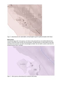 Bildet viser to kart som illustrerer risiko- og områdesklassifiseringer (snøskred, kvikkleire) for et tomtområde ved Hamneholmen.