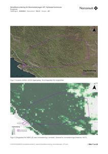 Bildet viser to kart som illustrerer skredfarevurdering for et område. Det øverste er et ortofoto med overlagte arealer, og det nedre er et skogsdatakart med overlagte arealer.