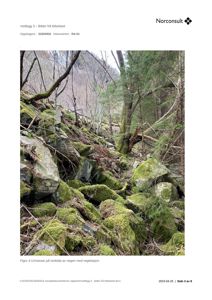 Fotografi av en urmassar med vegetasjon langs en vegg.