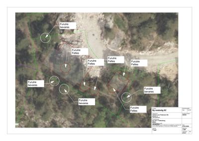 Situasjonsplan som viser tomtens beliggenhet, eksisterende beplantning (furutr) og planlagte bygninger med tilhørende notater om bevaring eller fellesareal.