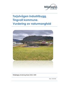 Fotografi av Torjulvågen industribygg og omgivelsene, inkludert vann, fjell og nabostrukturer.