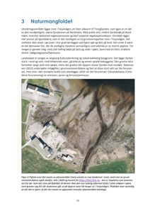 Flyfoto over et utredningsområde i Torjlåvågen, inkludert planområdet, landarealer, grunnvannsområder og Høpløva.