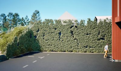 3D-visualisering av en fasade med stor del av beplantning (klatreplanter) og en person for å gi skala.