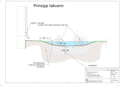 Snittegning som viser prinsipp for takvannshåndtering med overvannsledning, planter og fyllmasse.