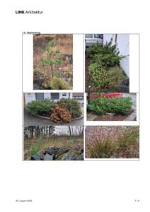 Et sammensatt bilde (collage) som viser ulike planter og beplantning på en tomt.