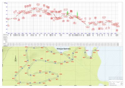 Situasjonsplan som viser en sti eller vei (Skileype Bjednabu) med høydemålinger og punktmarkeringer.