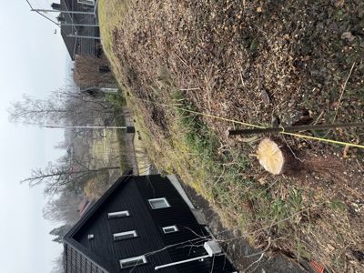 Fotografi av en svart hytte sett fra siden, med tilhørende hage og nabolag i bakgrunnen.