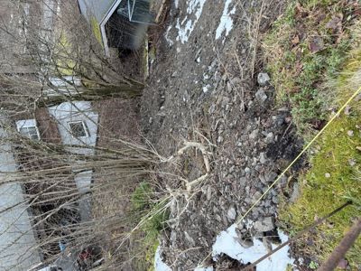 Fotografi av et utendørs område med trær, grus og snørester.