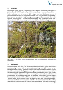 Fotografi av fjellside med steinsprang og vegetasjon, illustrert i en rapport om berggrunn.