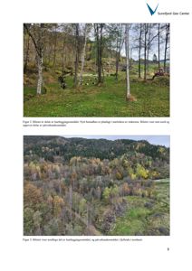 To fotografier av et skogområde og en skråning, som illustrerer et kartleggingsområde for et planlagt bustadhus.