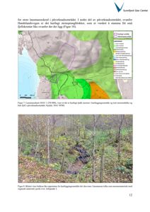 Fotografi av et skogområde med en bekkestrøm, som illustrerer et kartleggingsområde for lausmasser.