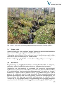 Fotografi av en bekkenløp med skog og moreneblokker, inkludert tekstdokumentasjon.