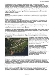 Satellittbilde (flyfoto) som viser et kystområde med en strand, en vei og en markert tomt.