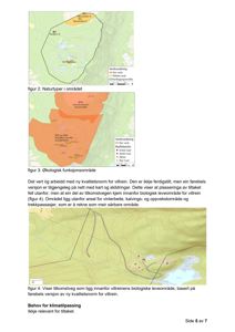 Kart som viser verdifulling av naturtyper og økologiske funksjonsområder i et område, inkludert en tilkomstveg.