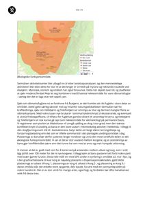 Kart over et område med naturtypelokaliteten Seimsåsen, som viser verdifuldvering, rødlistearter og økologiske funksjonsområder.