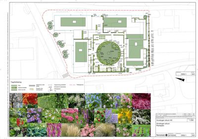 Situasjonsplan med detaljert plantegning av anleggsområdet, inkludert plassering av bygninger, vegger, trær og planter.