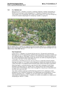 Et luftfotografi (flyfoto) av et boligområde med en skråning, brukt i en skredfarekartlegging.