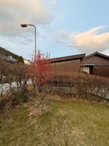 Fotografi av en brun trehus med en lysstolpe og busker i forgrunnen.