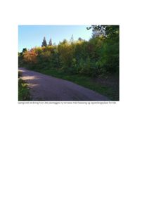 Fotografi av en gjengrodd skråning med en grusvei, med tekstbeskrivelse om planlagt terrasse og basseng.