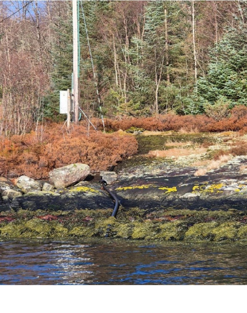 Fotografi av en kystlinje med vann, klipper, buskas og skog i bakgrunnen.
