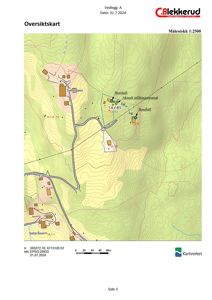 Oversiktskart over et område med topografi, vei, og flere eiendommer (Borehull, Seteråsen).