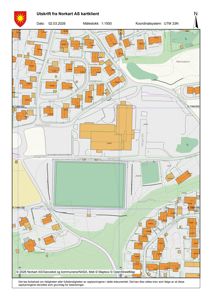 Situasjonsplan (tomtekart) som viser bygningers plassering, vegnett, grøntområder og topografi i området.