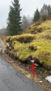 Fotografi av en vei med en skråning og trær i bakgrunnen. Bildet viser terrenget og vegetasjonen langs veien.